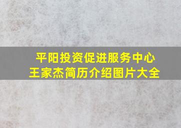 平阳投资促进服务中心王家杰简历介绍图片大全