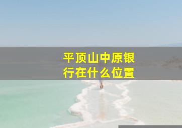 平顶山中原银行在什么位置