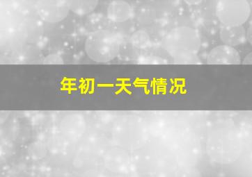 年初一天气情况