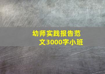 幼师实践报告范文3000字小班