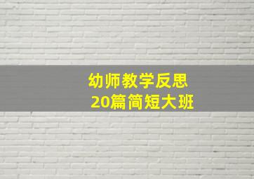 幼师教学反思20篇简短大班