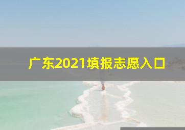 广东2021填报志愿入口