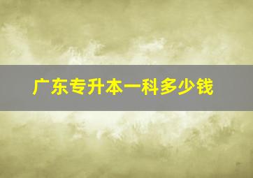 广东专升本一科多少钱