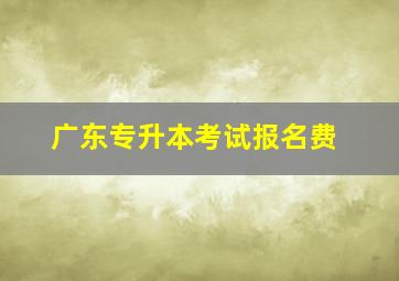 广东专升本考试报名费