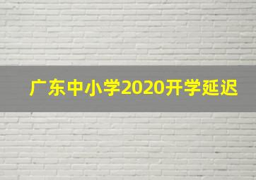 广东中小学2020开学延迟