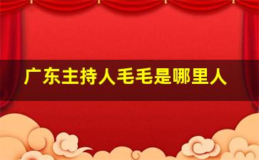 广东主持人毛毛是哪里人