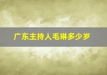 广东主持人毛琳多少岁