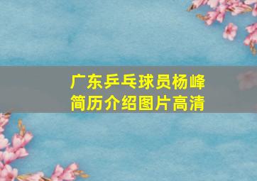 广东乒乓球员杨峰简历介绍图片高清