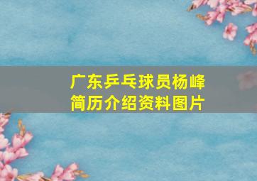 广东乒乓球员杨峰简历介绍资料图片