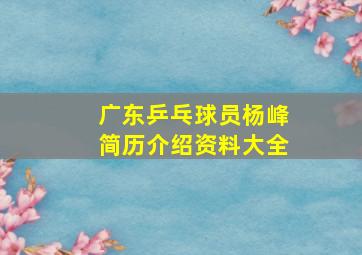 广东乒乓球员杨峰简历介绍资料大全