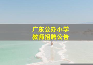 广东公办小学教师招聘公告