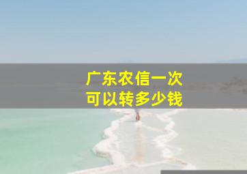 广东农信一次可以转多少钱