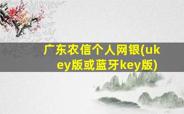 广东农信个人网银(ukey版或蓝牙key版)