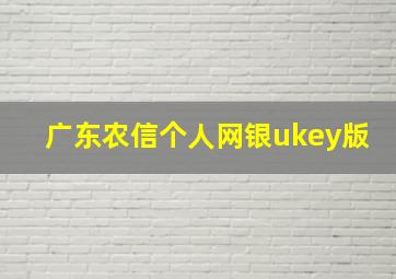 广东农信个人网银ukey版