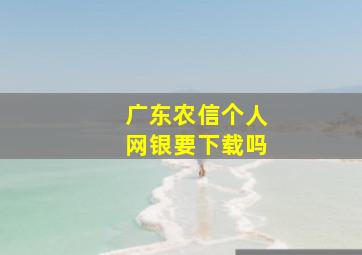 广东农信个人网银要下载吗