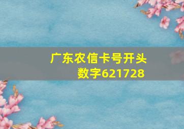 广东农信卡号开头数字621728