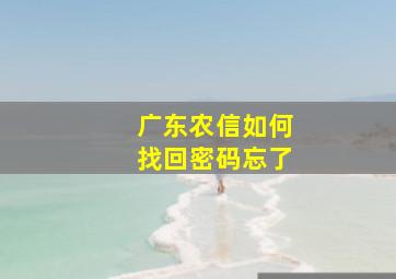 广东农信如何找回密码忘了