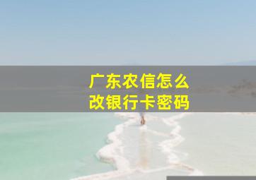 广东农信怎么改银行卡密码