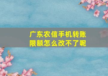 广东农信手机转账限额怎么改不了呢