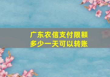 广东农信支付限额多少一天可以转账