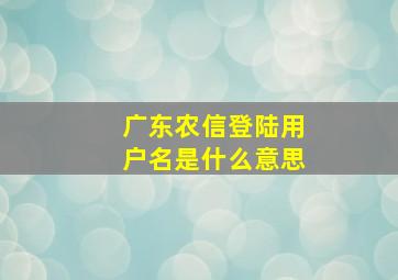 广东农信登陆用户名是什么意思