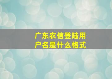 广东农信登陆用户名是什么格式