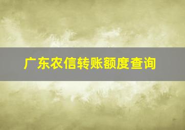 广东农信转账额度查询