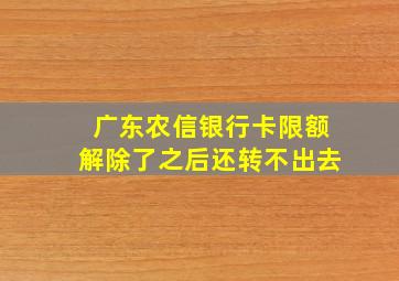 广东农信银行卡限额解除了之后还转不出去