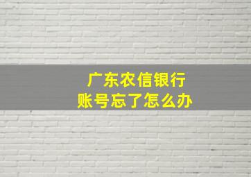 广东农信银行账号忘了怎么办