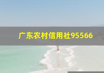 广东农村信用社95566