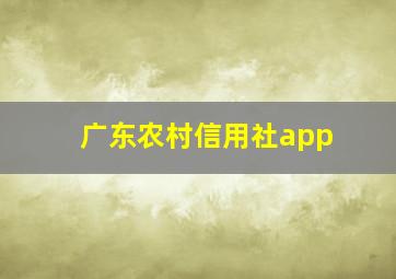 广东农村信用社app