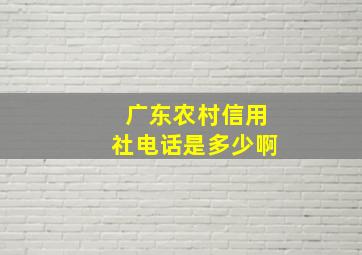 广东农村信用社电话是多少啊