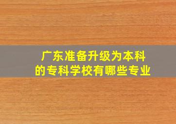 广东准备升级为本科的专科学校有哪些专业