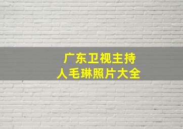 广东卫视主持人毛琳照片大全