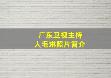 广东卫视主持人毛琳照片简介