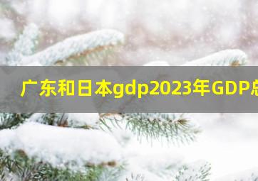 广东和日本gdp2023年GDP总量