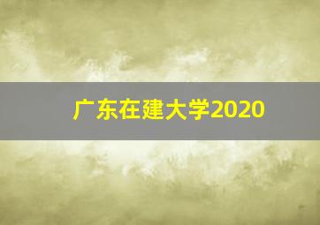 广东在建大学2020