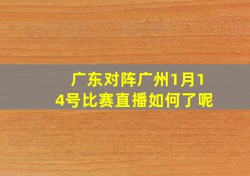 广东对阵广州1月14号比赛直播如何了呢