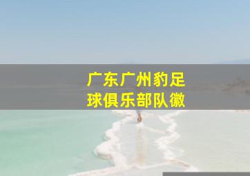 广东广州豹足球俱乐部队徽