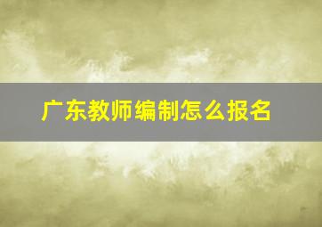 广东教师编制怎么报名