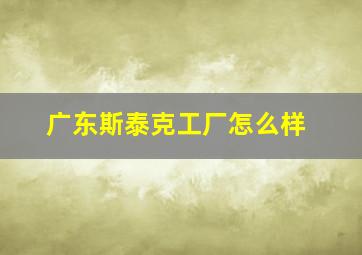 广东斯泰克工厂怎么样