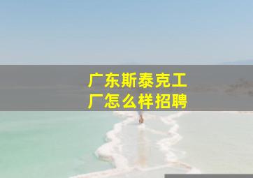 广东斯泰克工厂怎么样招聘