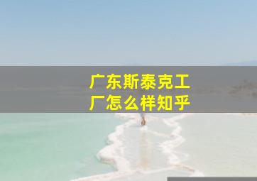 广东斯泰克工厂怎么样知乎