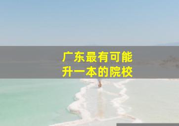 广东最有可能升一本的院校