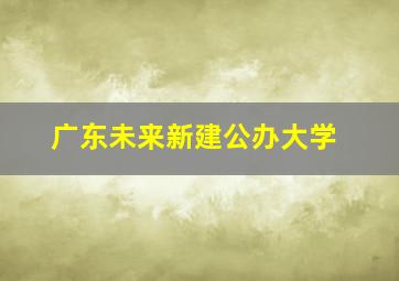 广东未来新建公办大学