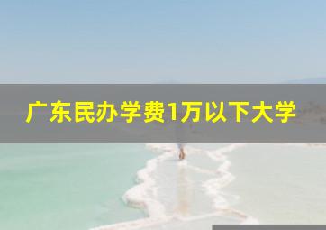 广东民办学费1万以下大学