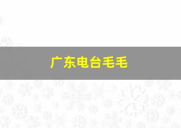 广东电台毛毛