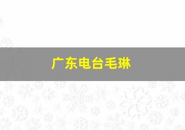 广东电台毛琳