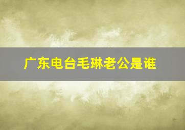 广东电台毛琳老公是谁