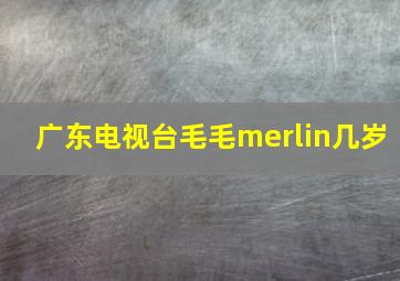 广东电视台毛毛merlin几岁